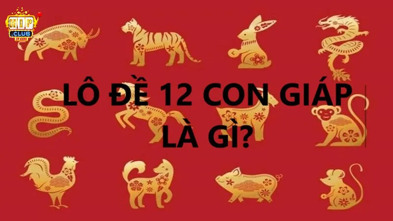 Dữ liệu chi tiết về lô đề 12 con giáp dành cho tín đồ